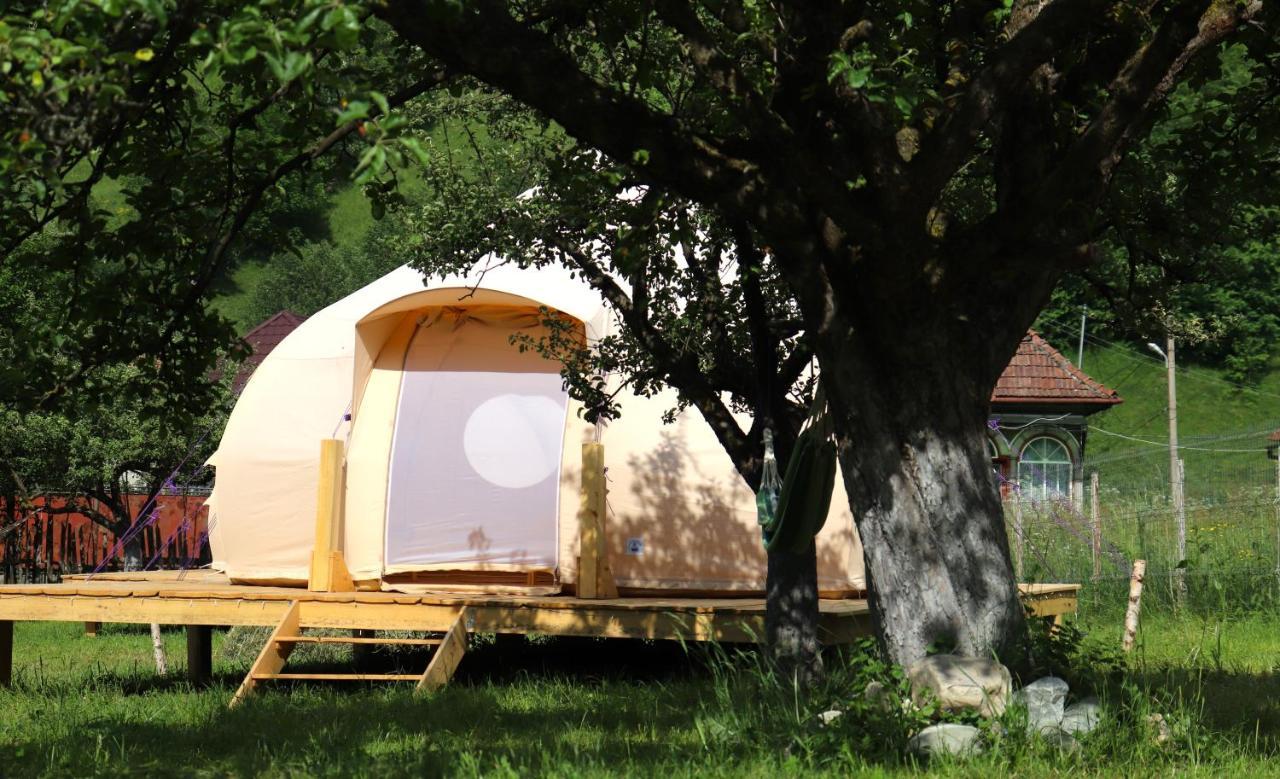 Hotel Flore'S Garden Glamping Bran  Exterior foto