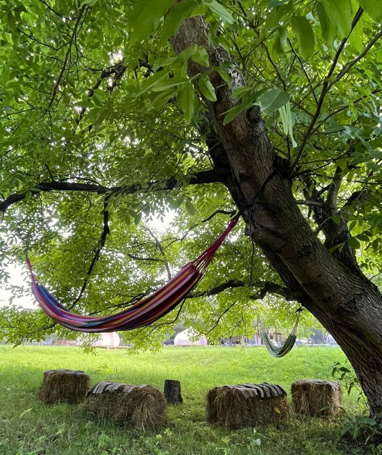 Hotel Flore'S Garden Glamping Bran  Exterior foto