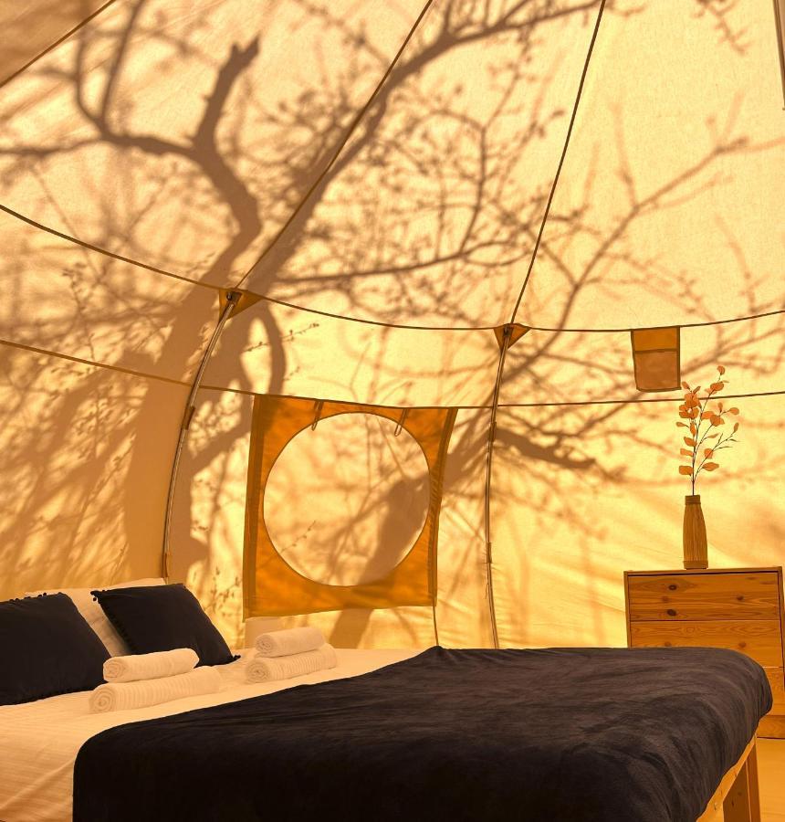 Hotel Flore'S Garden Glamping Bran  Exterior foto
