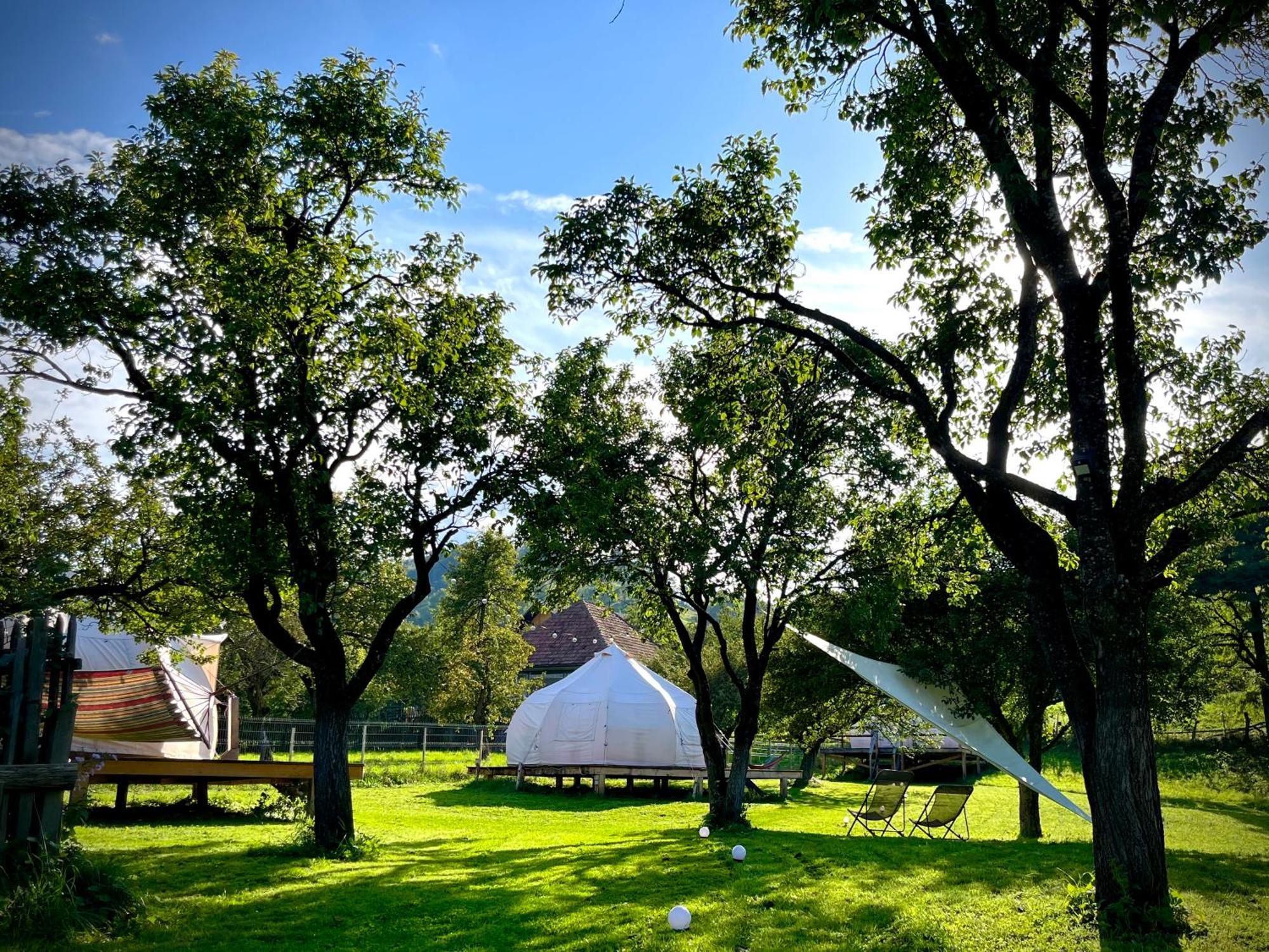 Hotel Flore'S Garden Glamping Bran  Exterior foto