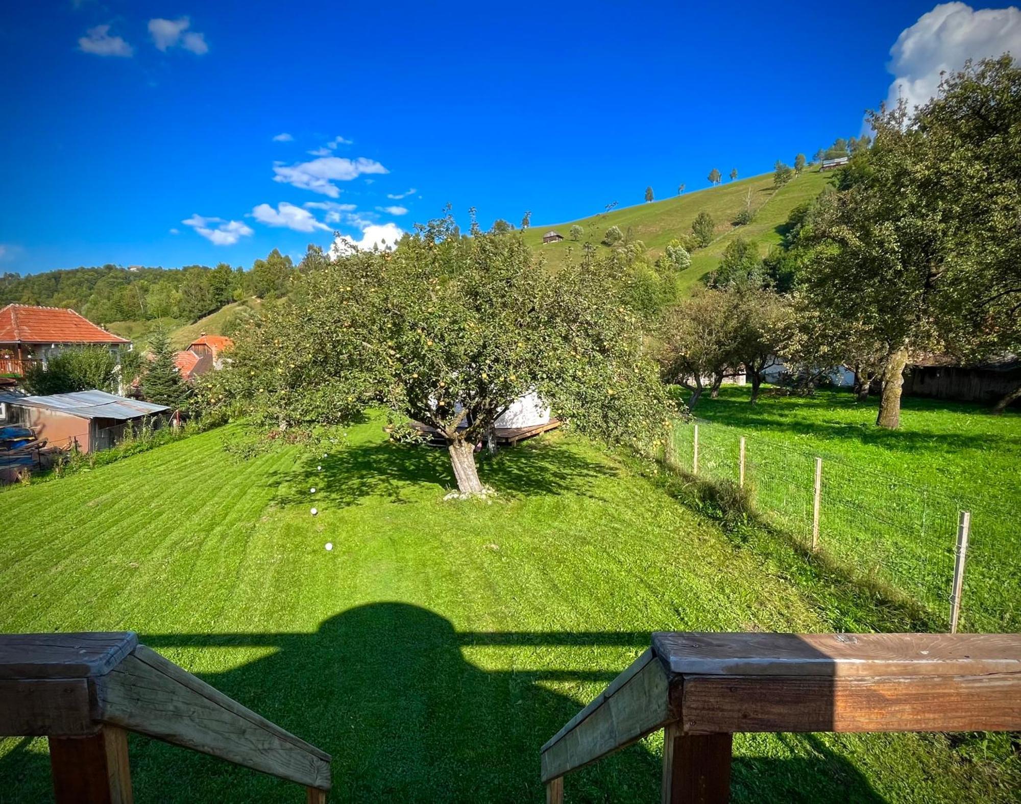 Hotel Flore'S Garden Glamping Bran  Exterior foto
